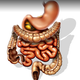 Illustration for article titled Fart collecting and testicle mashing: The grossest jobs in science